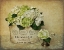 Picture of LONDON HYDRANGEA