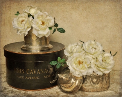 Picture of PARK AVENUE ROSES