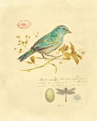 Picture of GILDED SONGBIRD 1 