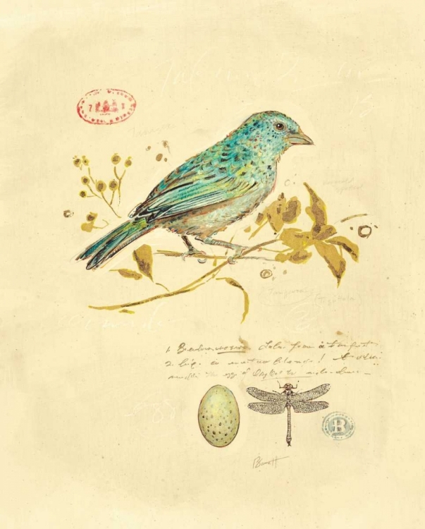 Picture of GILDED SONGBIRD 1 