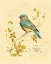 Picture of GILDED SONGBIRD 4 