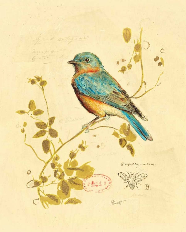 Picture of GILDED SONGBIRD 4 
