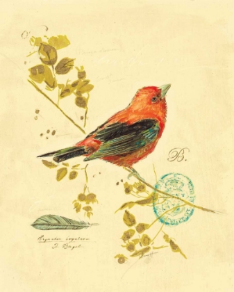 Picture of GILDED SONGBIRD 3
