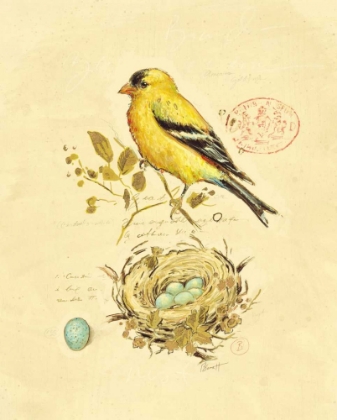 Picture of GILDED SONGBIRD 2
