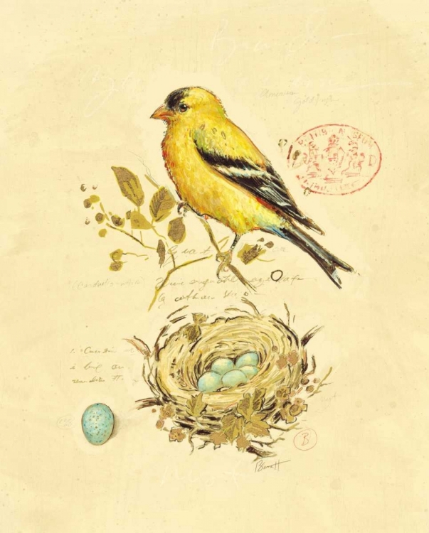 Picture of GILDED SONGBIRD 2