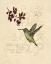 Picture of FILIGREE HUMMINGBIRD