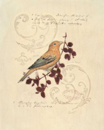 Picture of FILIGREE SONGBIRD