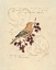Picture of FILIGREE SONGBIRD