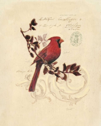 Picture of FILIGREE CARDINAL