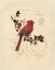 Picture of FILIGREE CARDINAL