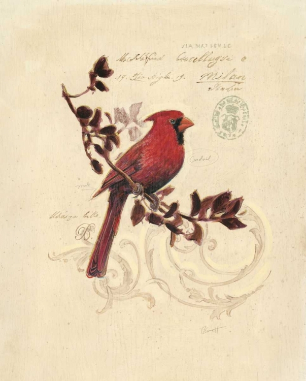 Picture of FILIGREE CARDINAL