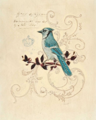 Picture of FILIGREE JAY
