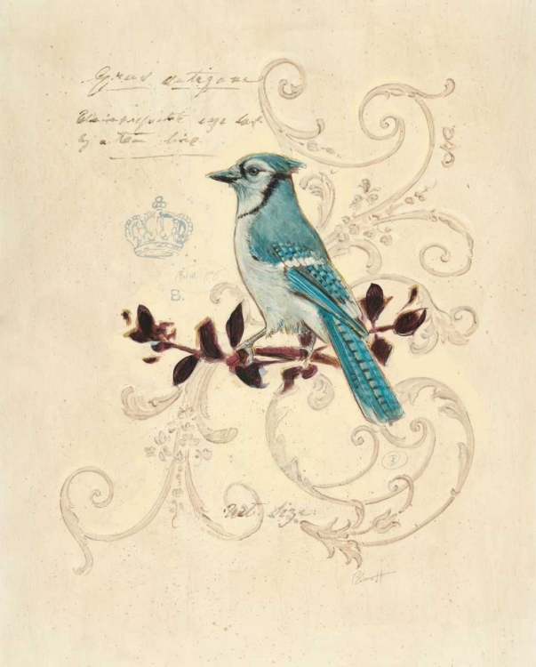 Picture of FILIGREE JAY