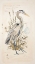 Picture of GREAT BLUE HERON