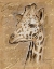 Picture of SAFARI GIRAFFE