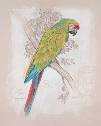 Picture of CHARTREUSE TROPICAL
