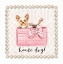 Picture of HAUTE DOG!