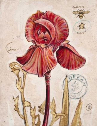 Picture of RUBY COLLECTION 2