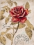 Picture of RUBY COLLECTION 7