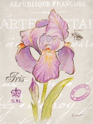 Picture of SKETCHBOOK IRIS