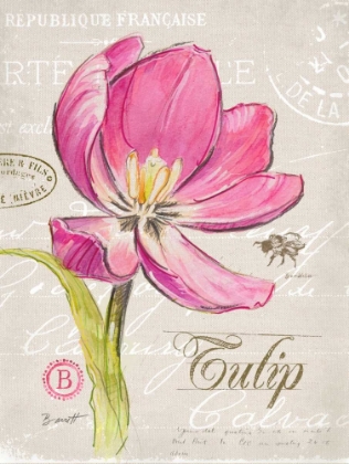 Picture of SKETCHBOOK TULIP
