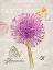 Picture of SKETCHBOOK AGAPANTHUS