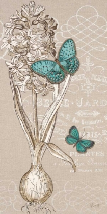 Picture of HYACINTH BULB
