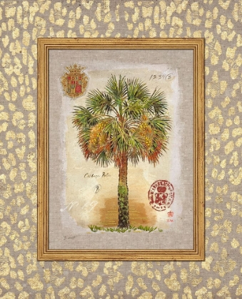 Picture of LEOPARD CABBAGE PALM