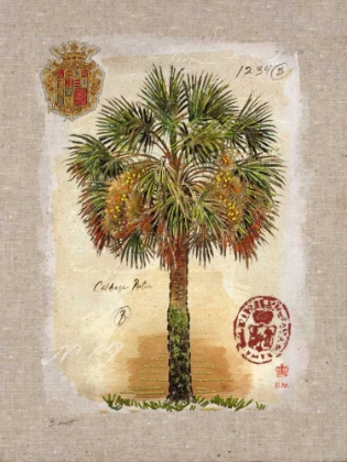Picture of LINEN CABBAGE PALM TREE