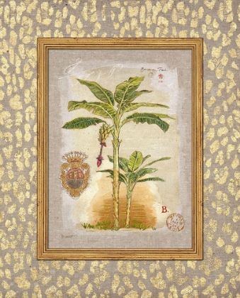 Picture of LEOPARD BANANA PALM