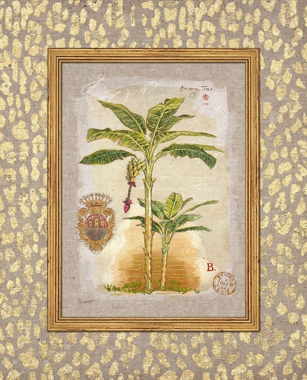 Picture of LEOPARD BANANA PALM
