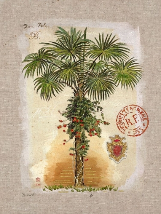 Picture of LINEN FAN PALM TREE