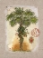 Picture of LINEN FAN PALM TREE
