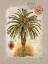 Picture of LINEN DATE PALM TREE