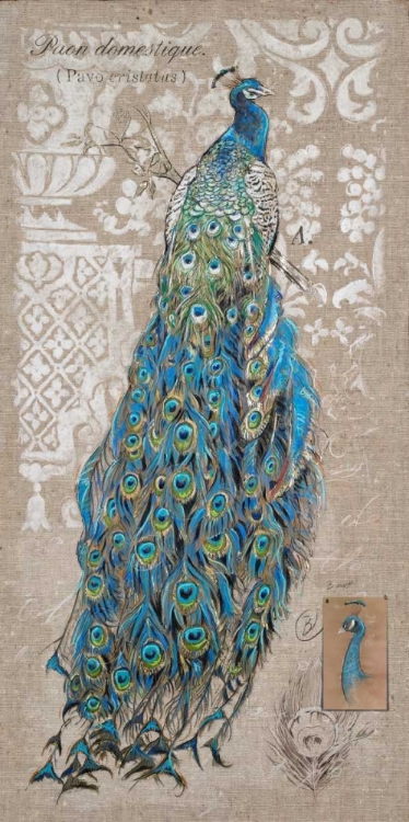 Picture of PEACOCK ON LINEN 1