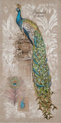 Picture of PEACOCK LINEN 2