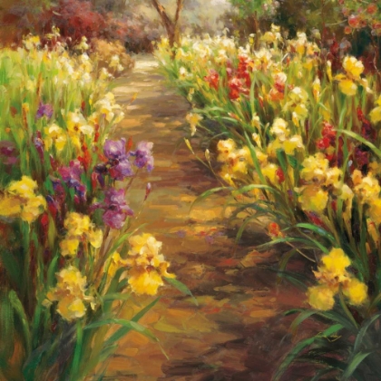 Picture of IRIS PATHWAY