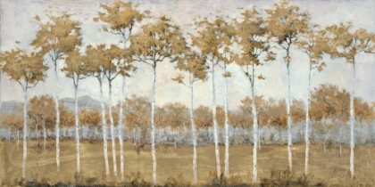 Picture of AUTUMNS GOLDEN VISTA