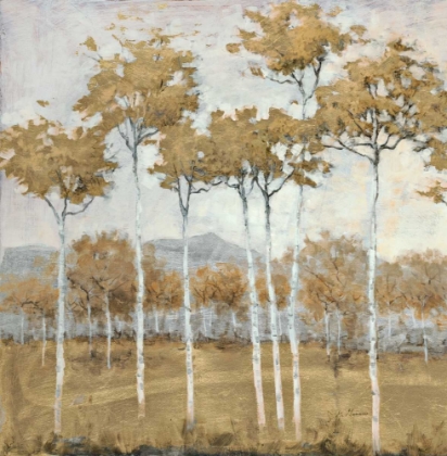 Picture of AUTUMNS GOLD 1
