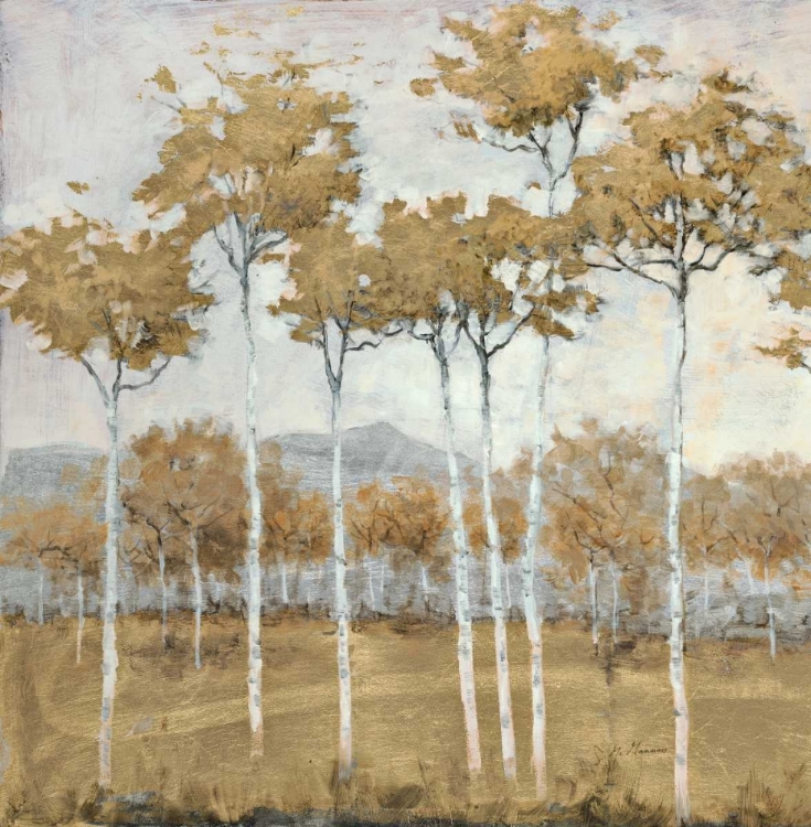 Picture of AUTUMNS GOLD 1