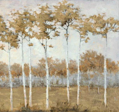 Picture of AUTUMNS GOLD 2