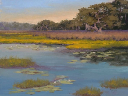 Picture of WATERLILY BAY