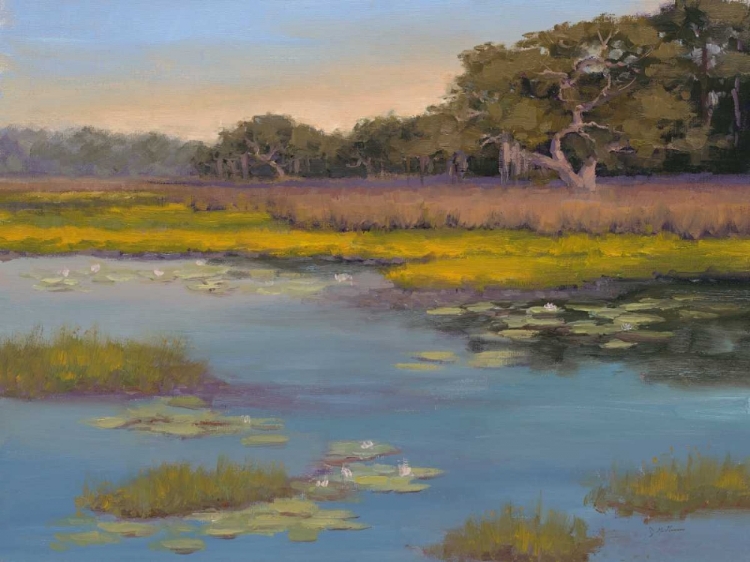 Picture of WATERLILY BAY