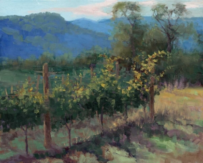 Picture of VINEYARD ON THE HILL