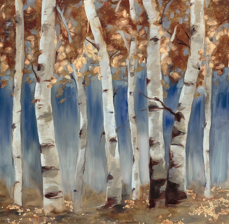 Picture of COPPER AND BLUE BIRCH TREES, SQUARE 2