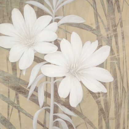 Picture of MODERN WHITE BLOSSOMS