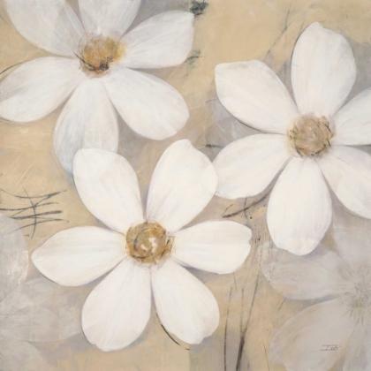 Picture of MODERN PALE BLOSSOMS