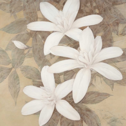 Picture of MODERN CREAM BLOSSOMS
