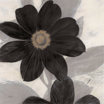 Picture of MIDNIGHT BLOOM