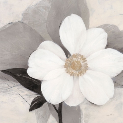 Picture of MIDDAY BLOOM